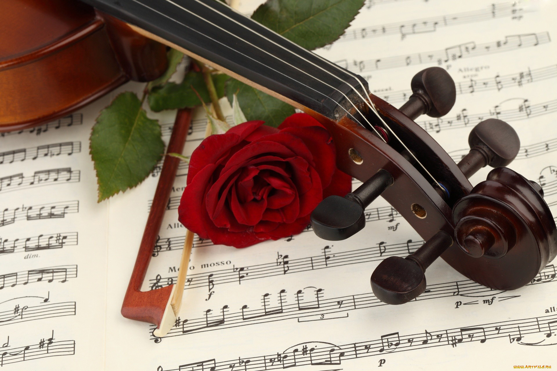 Музыкальные инструменты романтизма